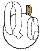 qdc white